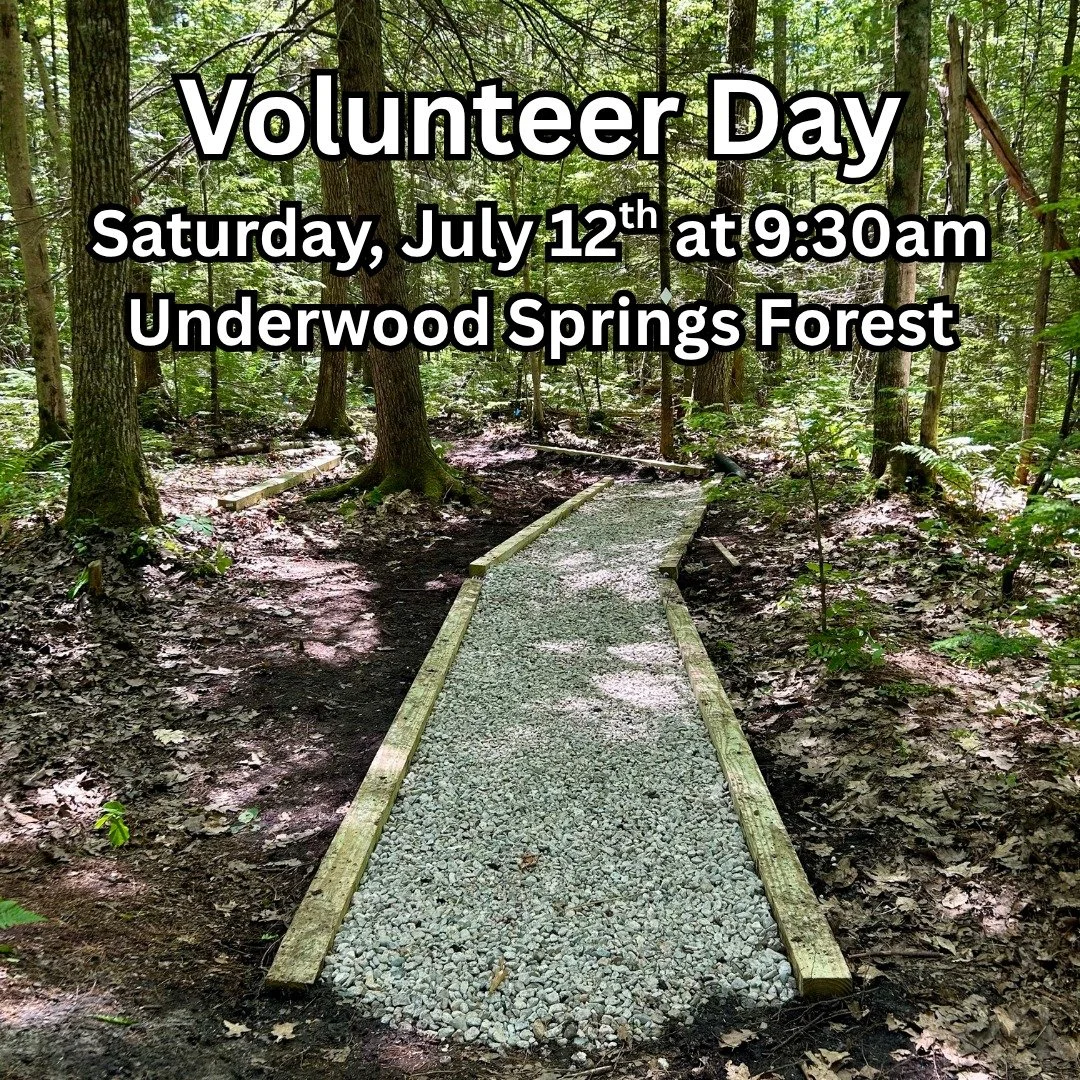 Join FLT for a fun volunteer day at Underwood Springs Forest this Saturday at 9:30am! We'll work with a @maineconservationcorps trail crew to help build turnpikes (raised gravel paths) on trail sections that tend to get particularly muddy.

We will m