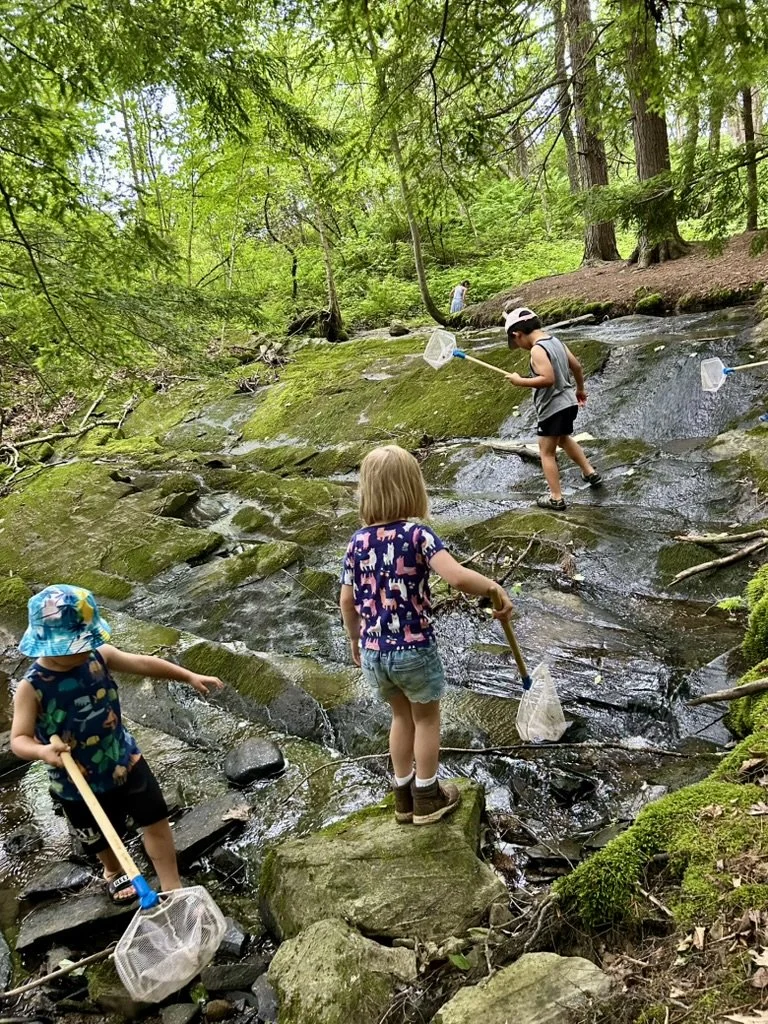 August Forest PlayGroup @ Tidewater Farm
