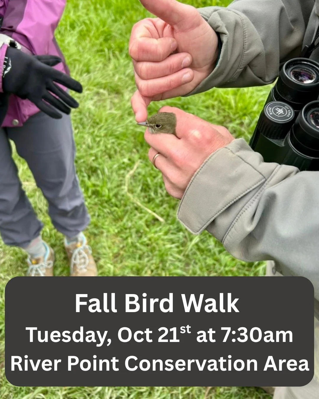 We are excited to partner with the Portland-based @biodiversityresearchinstitute on a fall bird walk at River Point Conservation Area! 

Join us on Tuesday, October 21st at 7:30am to do some birding, learn about BRI's migratory bird research, and loo