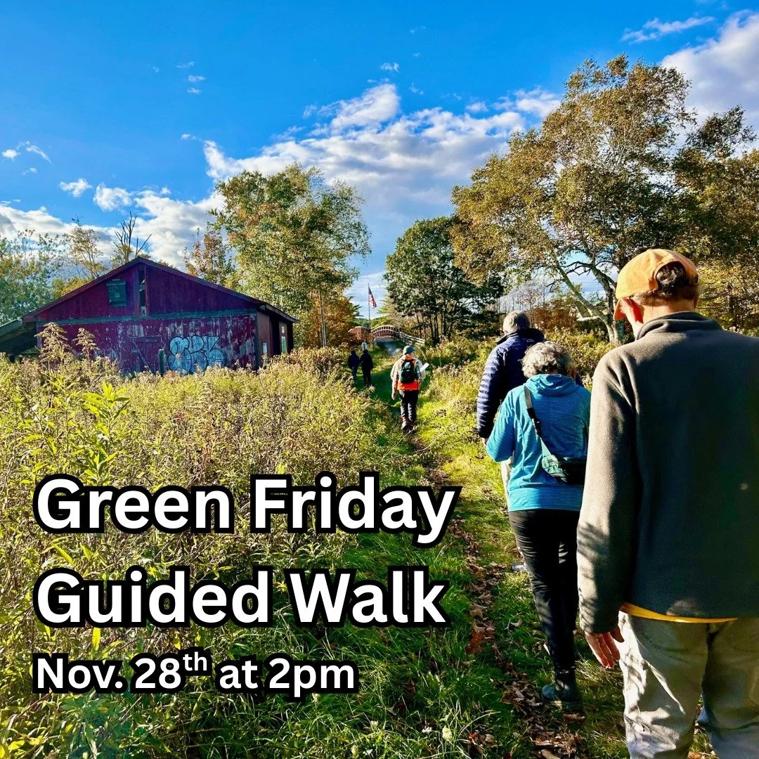 Join FLT board member Rick for a Green Friday guided walk at Hardy Road Conservation Area on Friday, November 28th at 2pm. It&rsquo;s a great chance to get some fresh air after Thanksgiving and check out the trails that connect into Westbrook's Pride