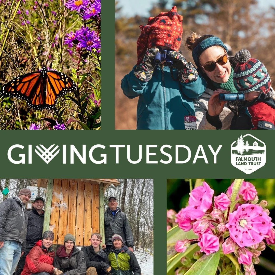 Today is the day to support your local nonprofits and make a difference in your community!
 
By donating to the Falmouth Land Trust this Giving Tuesday, you are helping us care for over 2,800 acres of protected land, maintain miles of recreational tr