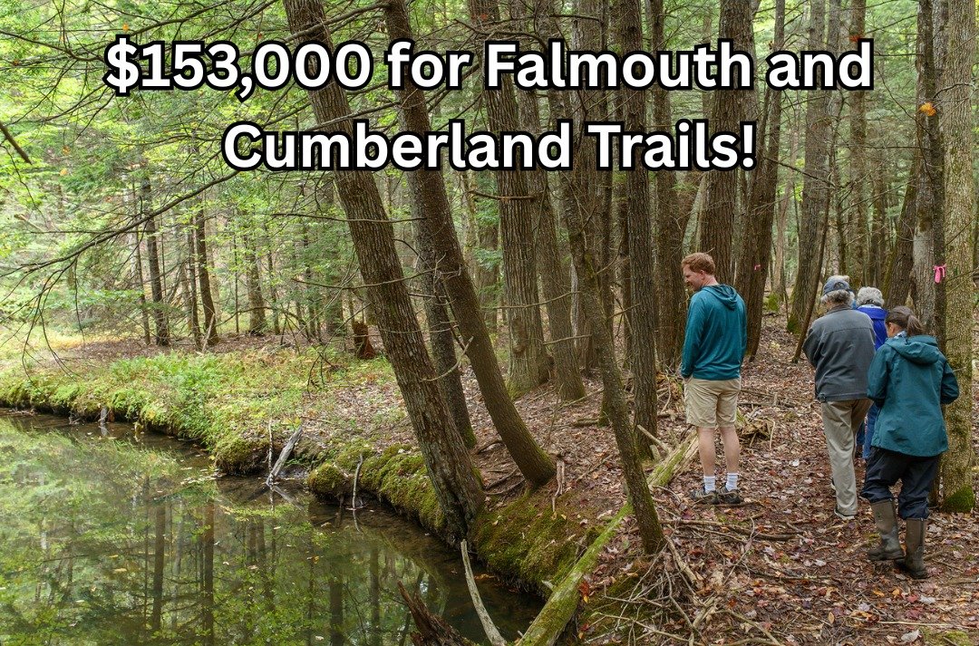 Falmouth Land Trust and @chebeaguecumblandtrust were recently awarded a combined $153,000 from the Maine Trails Program for improvements at trail systems that connect Falmouth and Cumberland! 

Falmouth's Blackstrap Hill Preserve and Community Forest