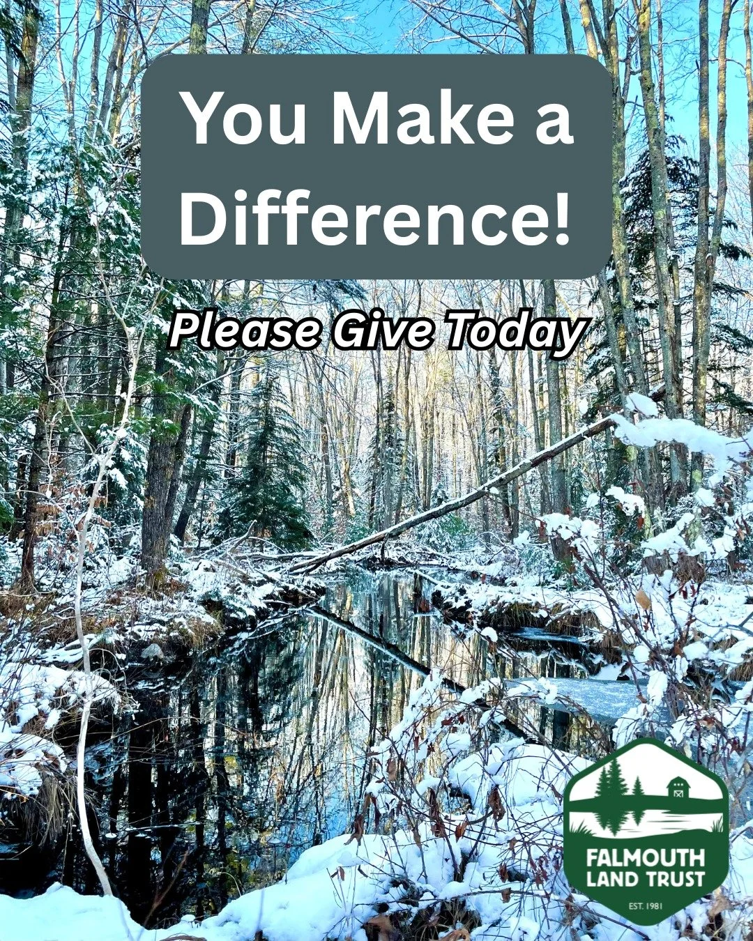 You make a difference! Your end-of-year donation directly supports FLT, your local conservation nonprofit connecting people to nature and community. 

From land conservation and trail stewardship to nature-based education and habitat restoration, we 
