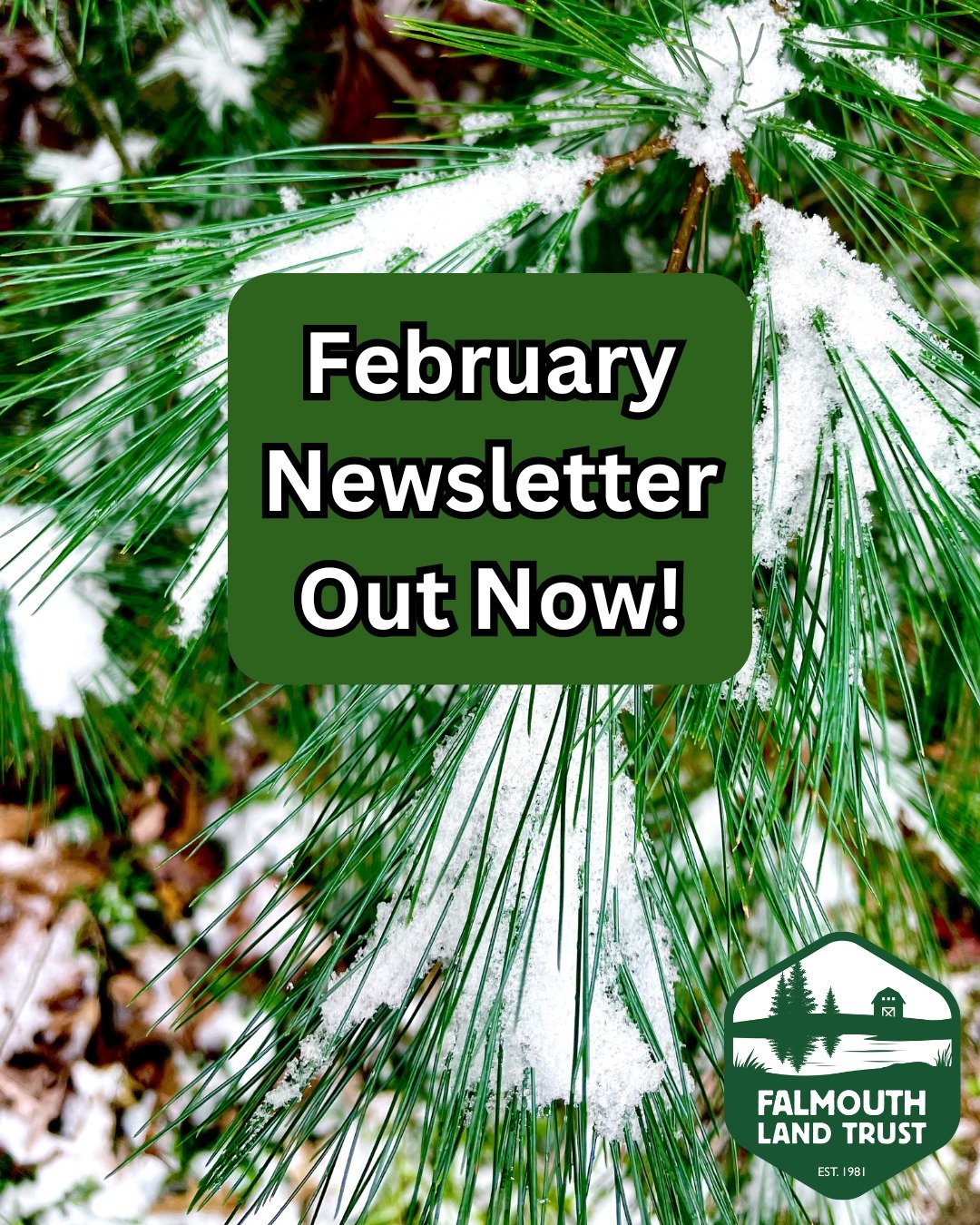 Our February newsletter is full of exciting updates! Follow the link below to learn more about supporting the acquisition of Babbidge Woods, a new seasonal position with FLT, and all sorts of fun upcoming events. 

https://mailchi.mp/falmouthlandtrus