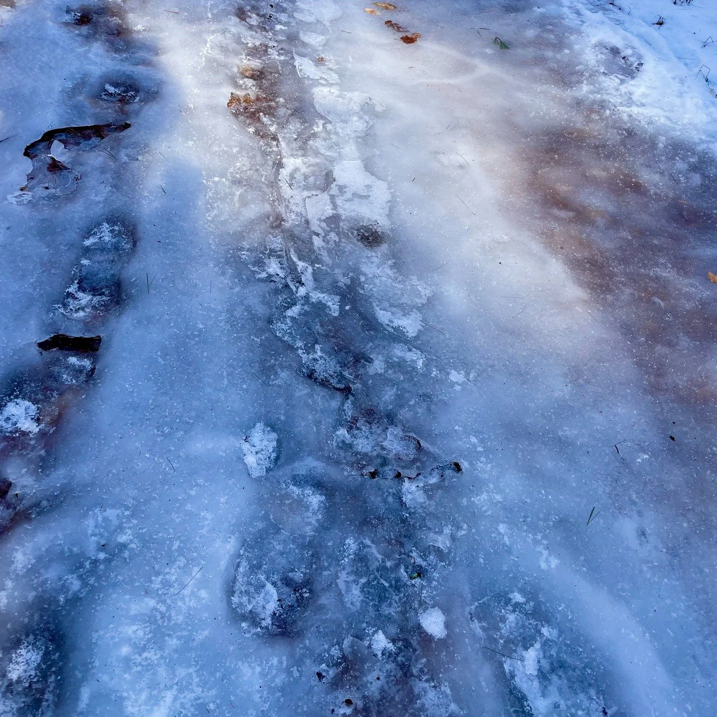 The recent snow made it look like a winter wonderland out there! Just remember that most trails still have a slippery surface underneath. We recommend wearing traction devices like YakTrax, Stabilicers, or snowshoes to help keep you upright and avoid