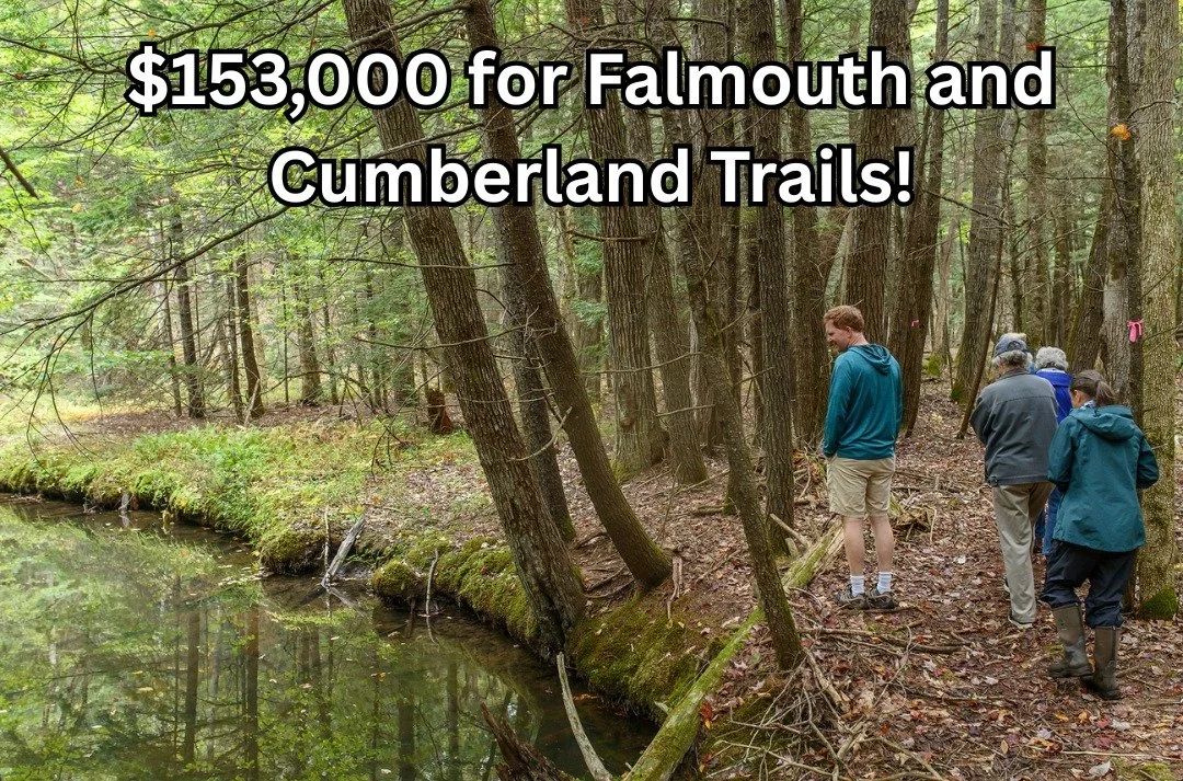 Falmouth Land Trust and @chebeaguecumblandtrust were recently awarded a combined $153,000 from the Maine Trails Program for improvements at trail systems that connect Falmouth and Cumberland! 

Falmouth's Blackstrap Hill Preserve and Community Forest