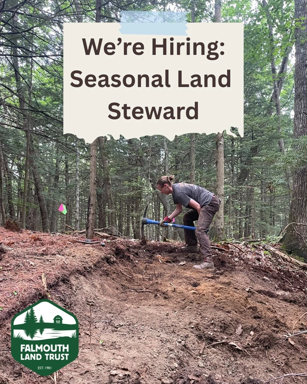 Falmouth Land Trust is hiring! Do you like being outside? Are you interested in learning more about land conservation and trail stewardship? Then this Seasonal Land Steward position might be the job for you!

This 40 hour/week position will run from 