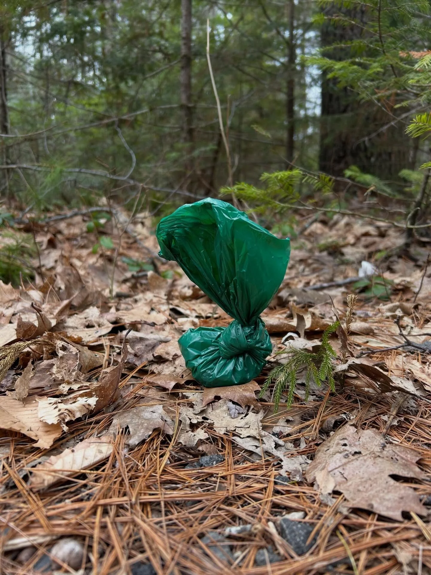 Let&rsquo;s talk about 💩

As the weather gets a bit warmer and we hit the trails more, we&rsquo;re noticing more pet waste - both bagged and left on the trail or left unbagged for others to potentially step in (or left bagged and hanging from a trai