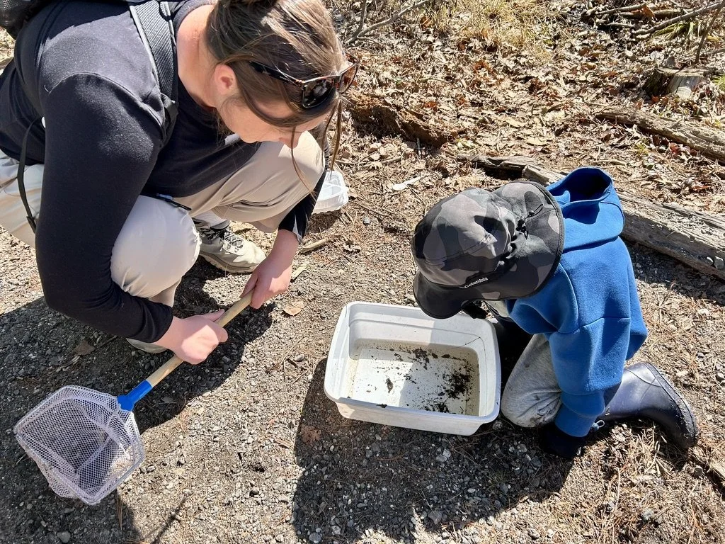 June Forest Playgroup @ TBD
