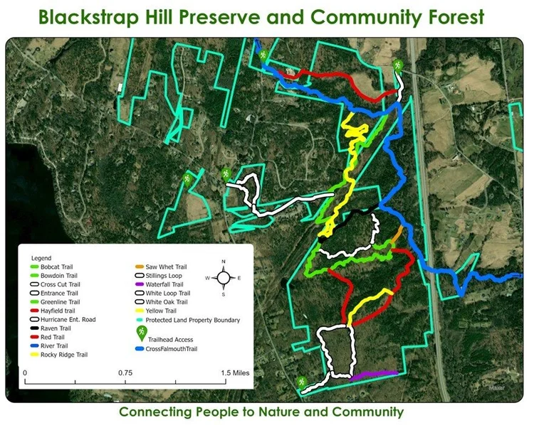 Blackstrap Hill Preserve — Falmouth Land Trust