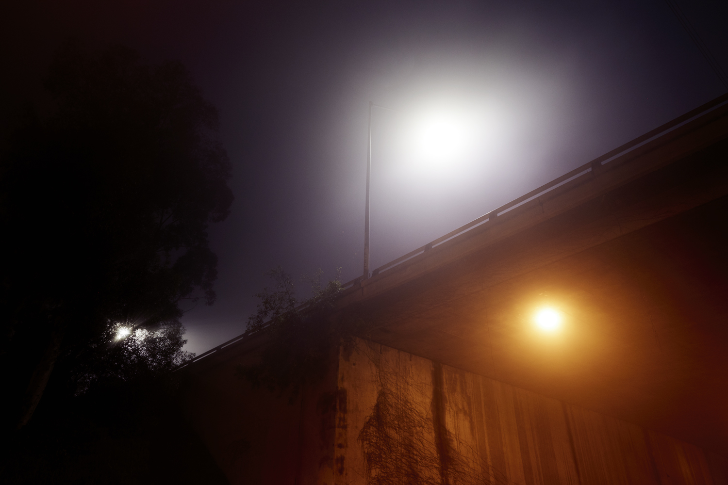 Fog_Elysian_0090.jpg