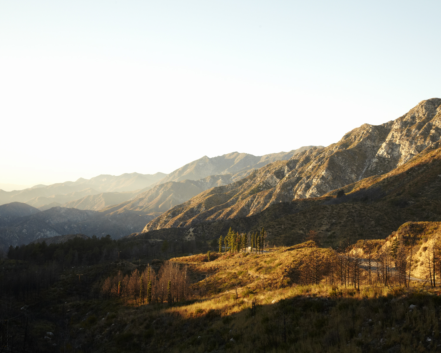 Angeles National Forest