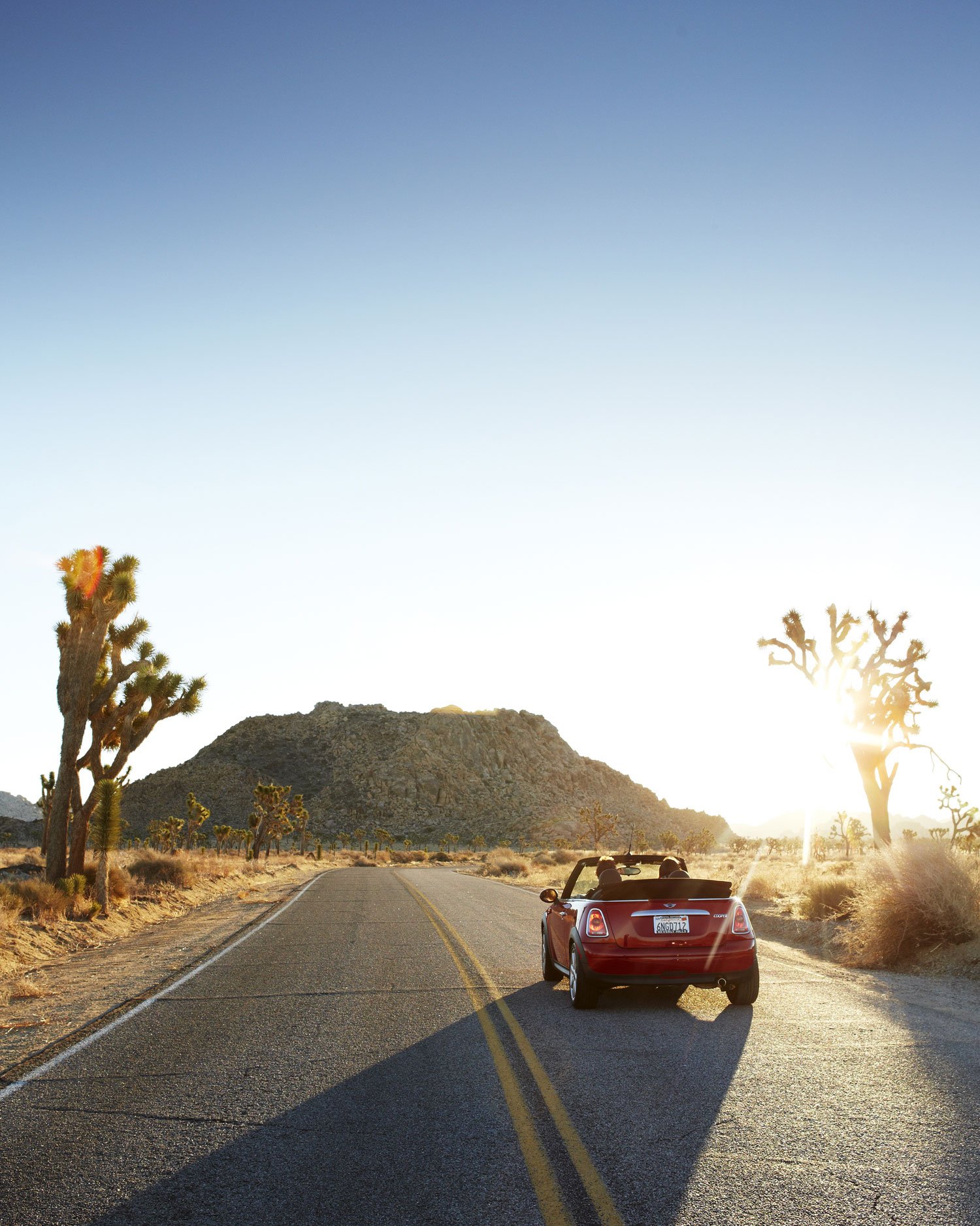 Joshua_Tree_180_r.jpg