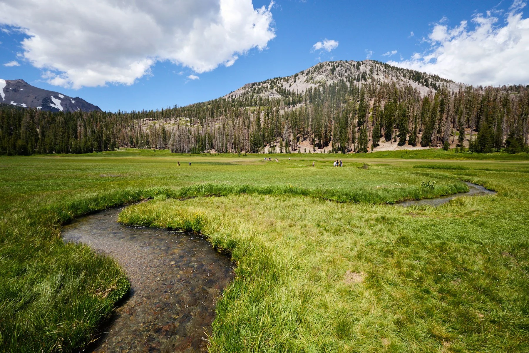 Lassen_Kings_Creek_Meadow_0060.jpg