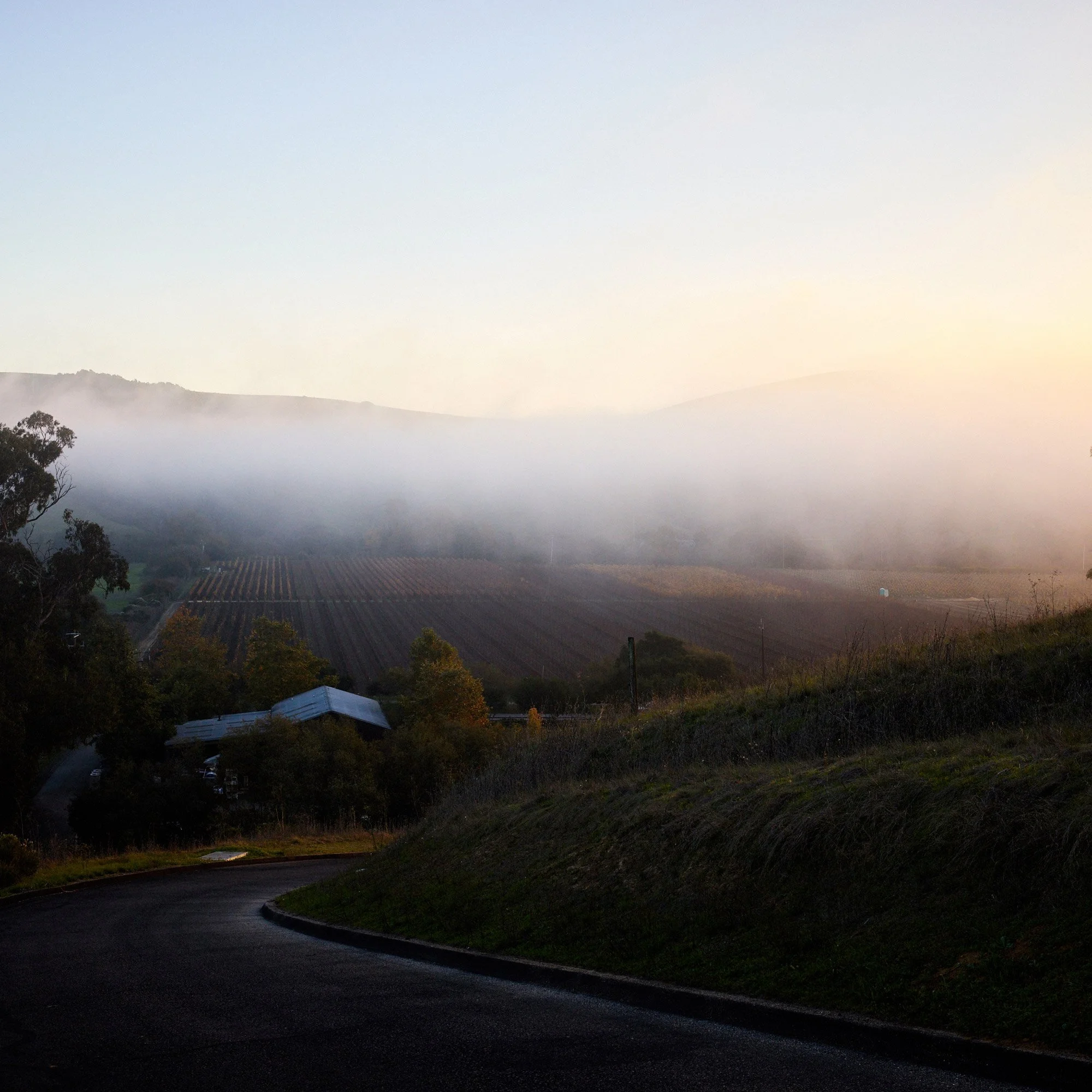 4.Central_Coast_CA_2072.web.jpg