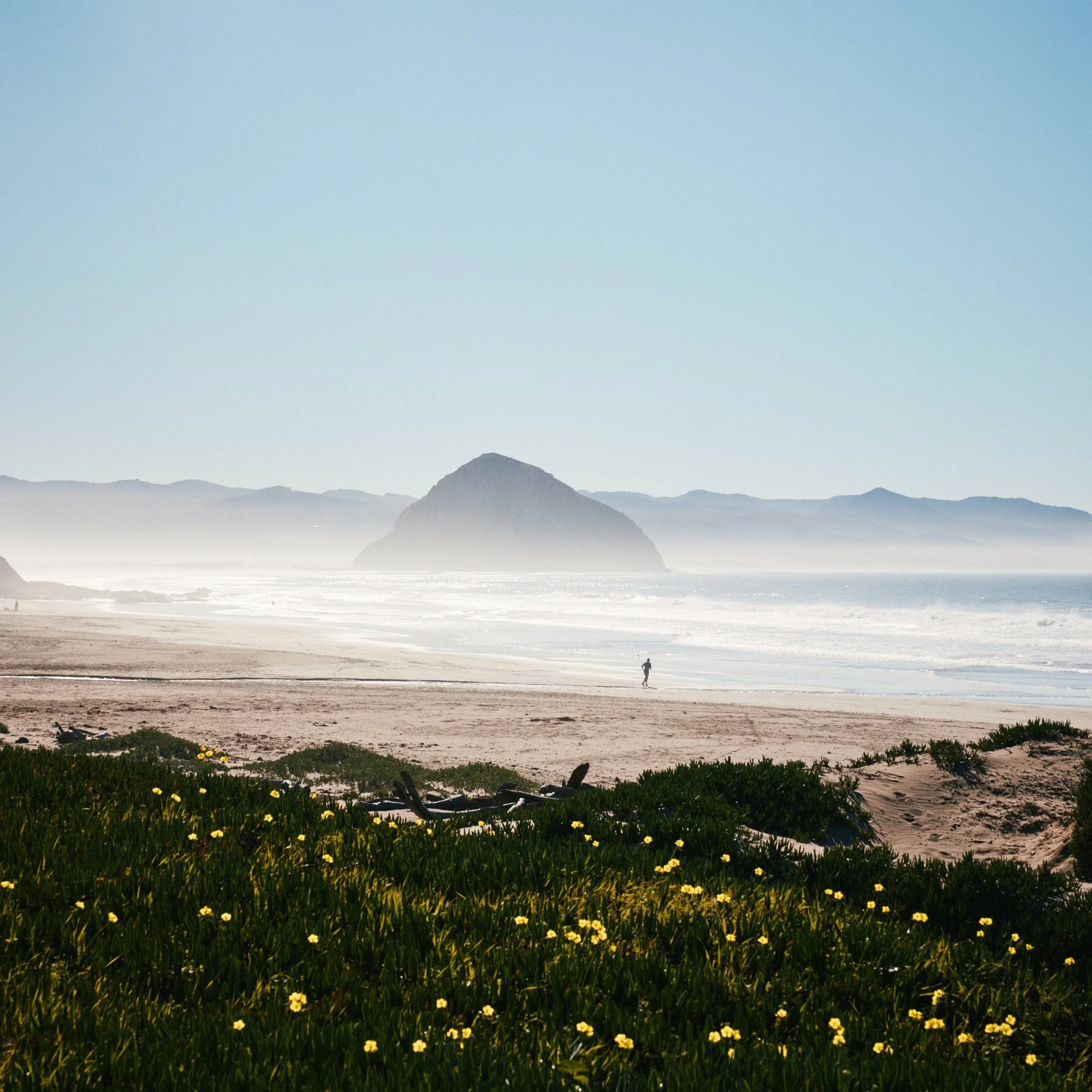 1.Central_Coast_CA_1256.web.jpg