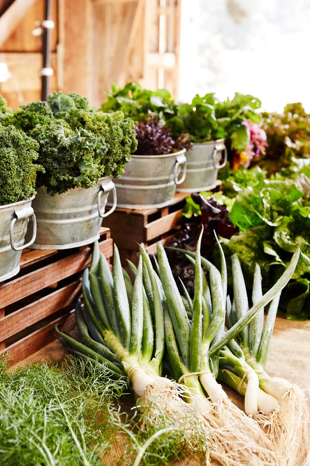 Fortunate_Farm_0013.jpg