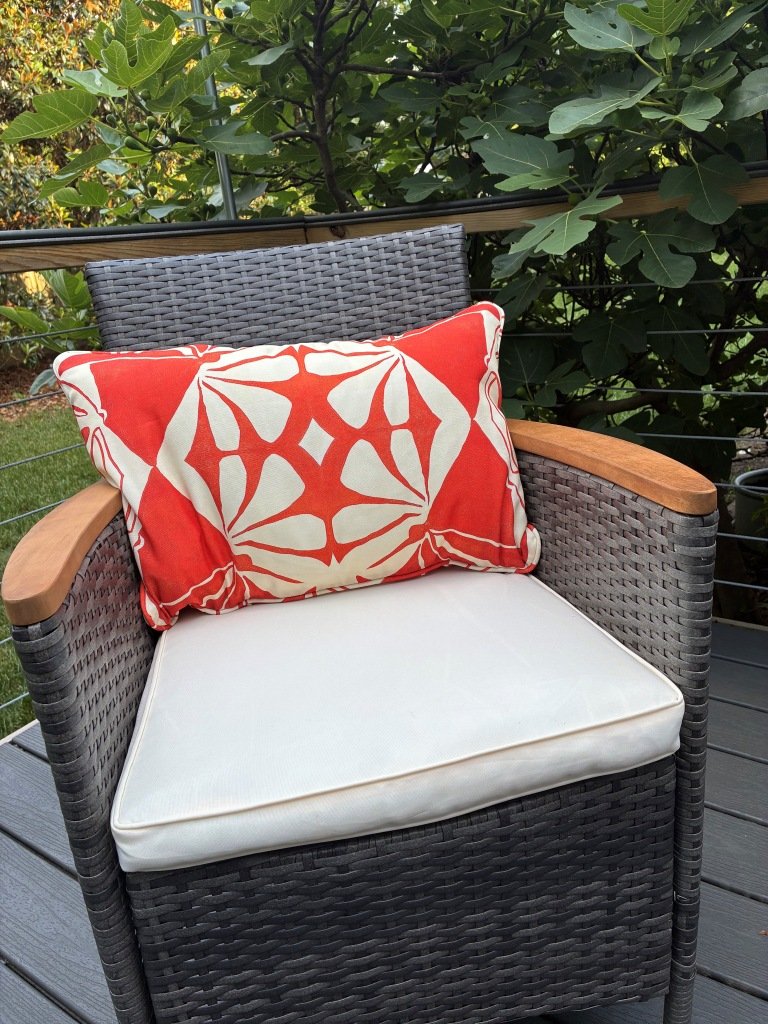 Dandridge Art | Orange Blossom | Decorative Lumbar Pillow | 14 x 23 | Outdoor Repreve | Outdoor Insert