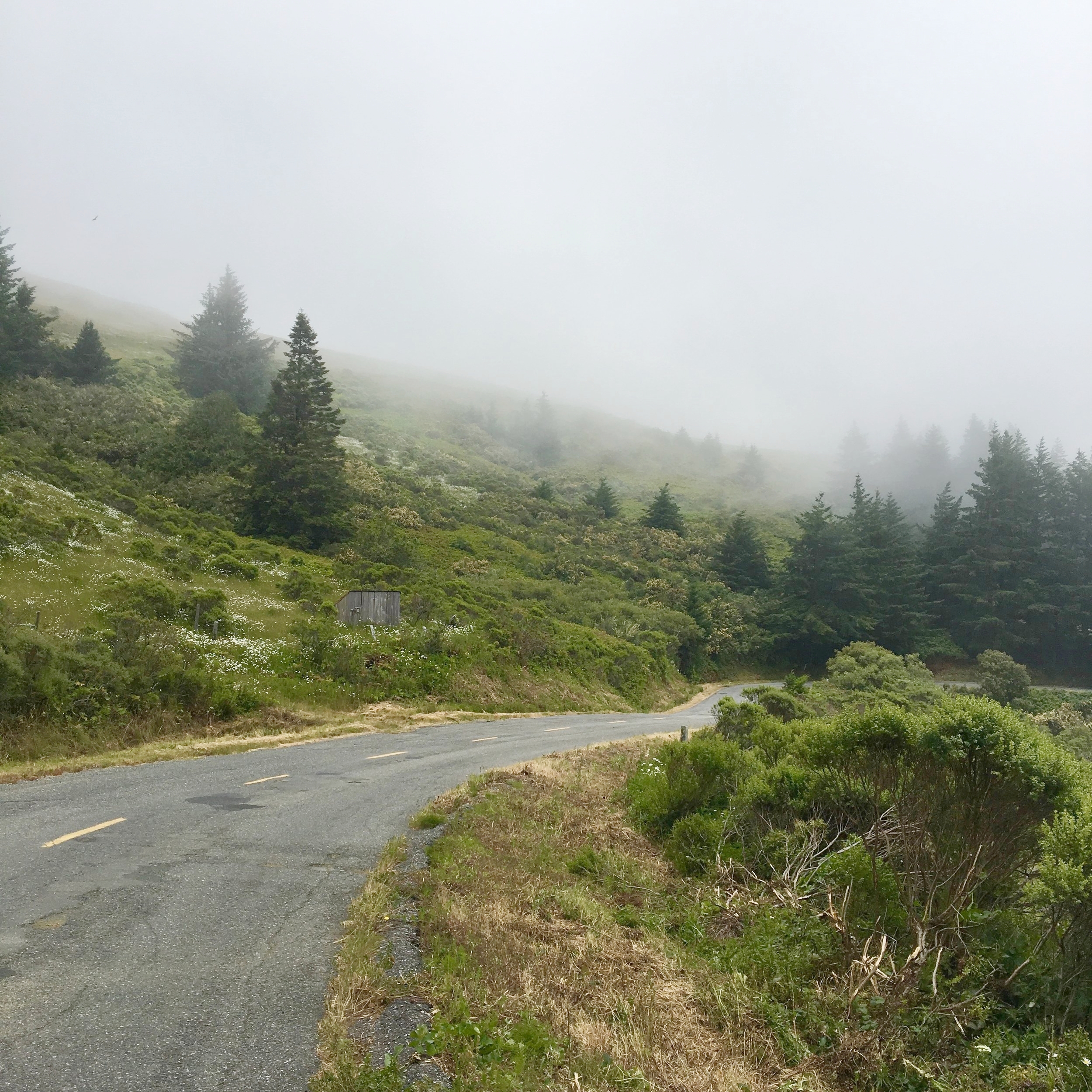 Centerville Rd, Ferndale, CA 95536, USA