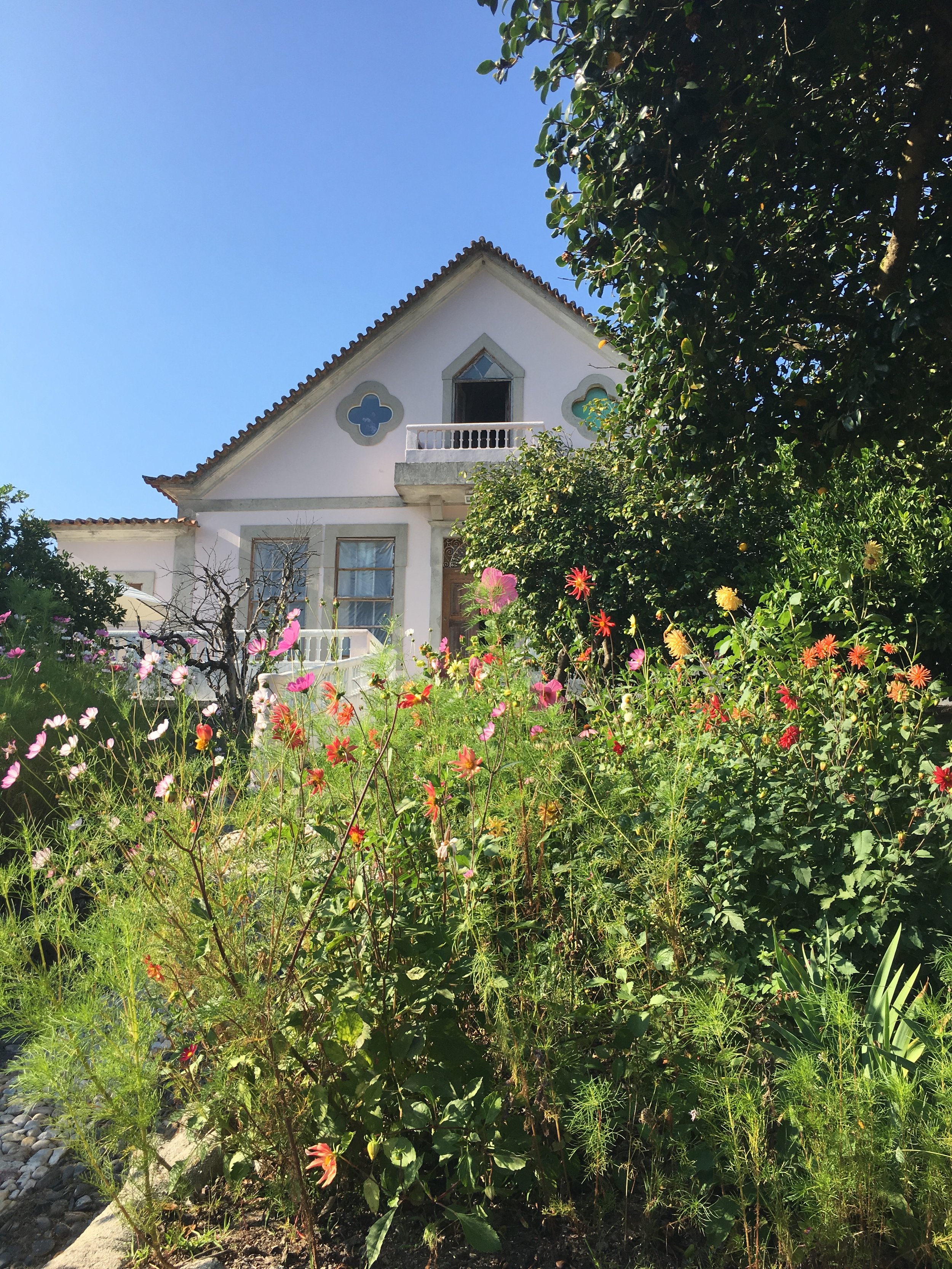 house and flowers.JPG