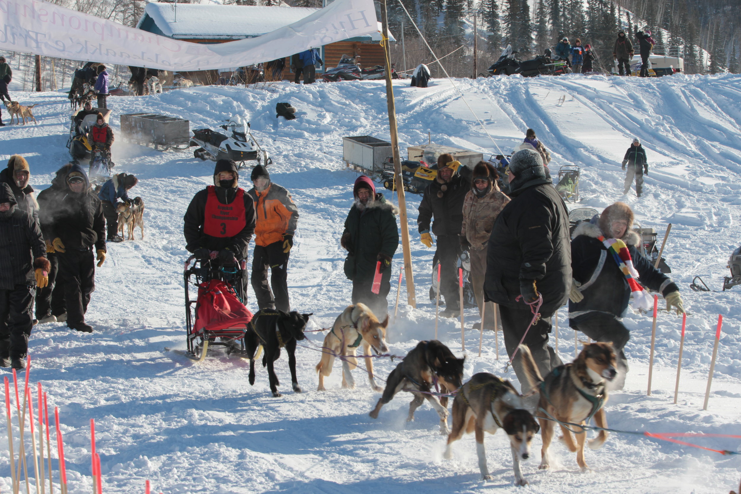 InterVillage Sled Dog Race in Hughes, March 2017