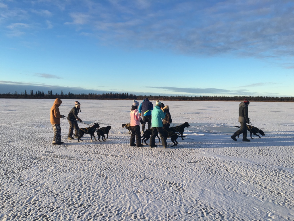 Huslia JHS students take Wilson Sam's dogs for walk on the lake.