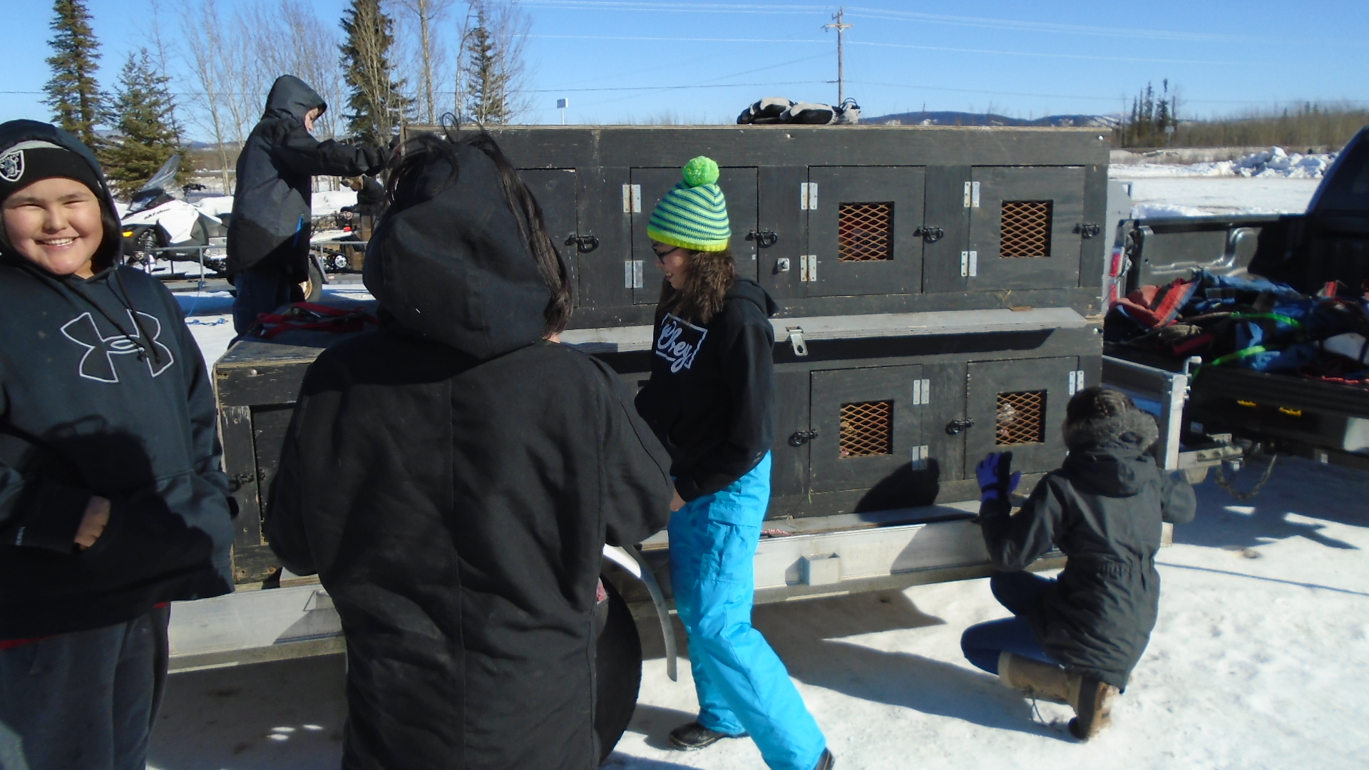 Mentasta Lake School students load dogs into box at Tok Track.