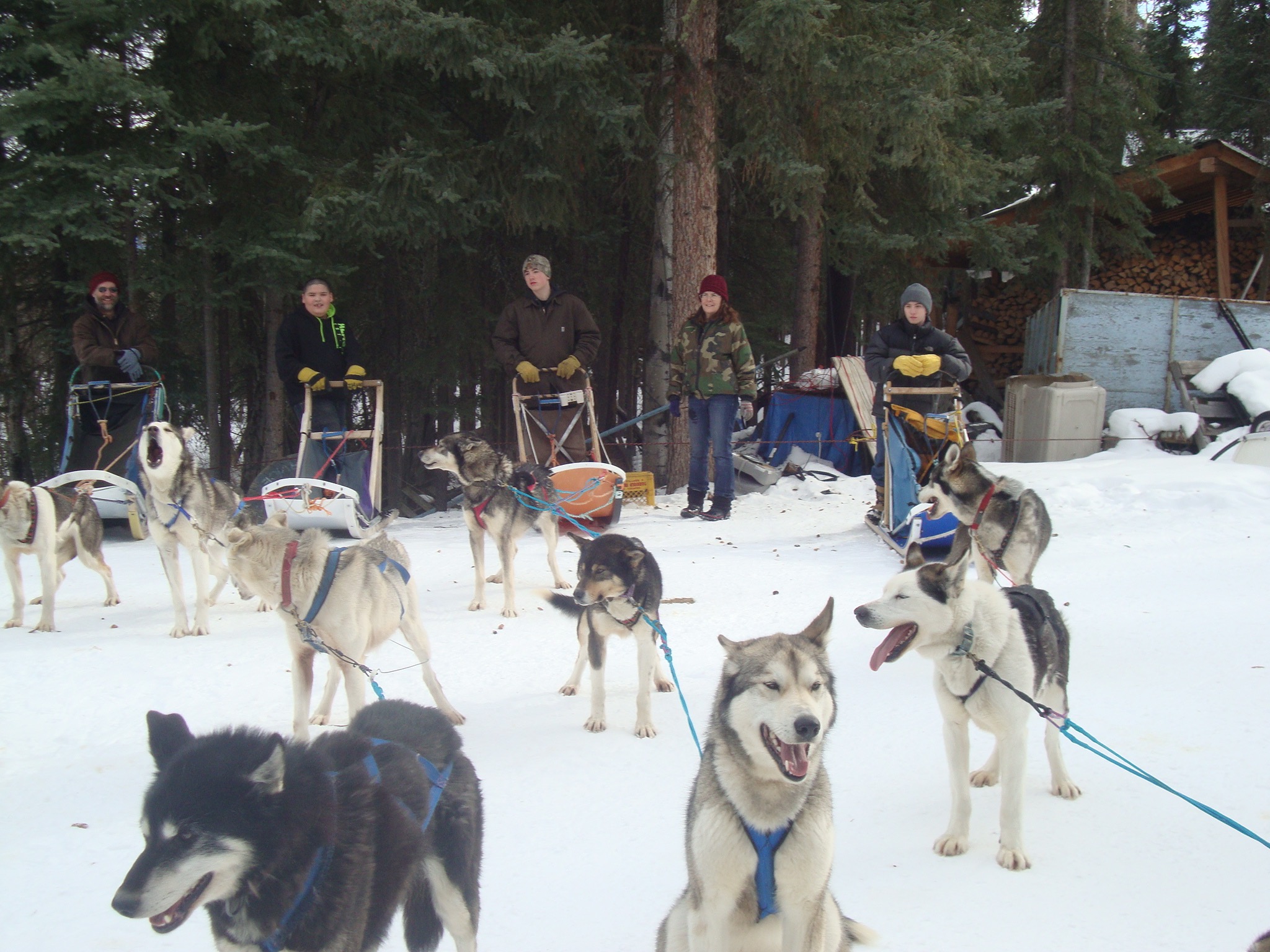 Eagle school students ready to run dogs fro Cranberry Kennel.