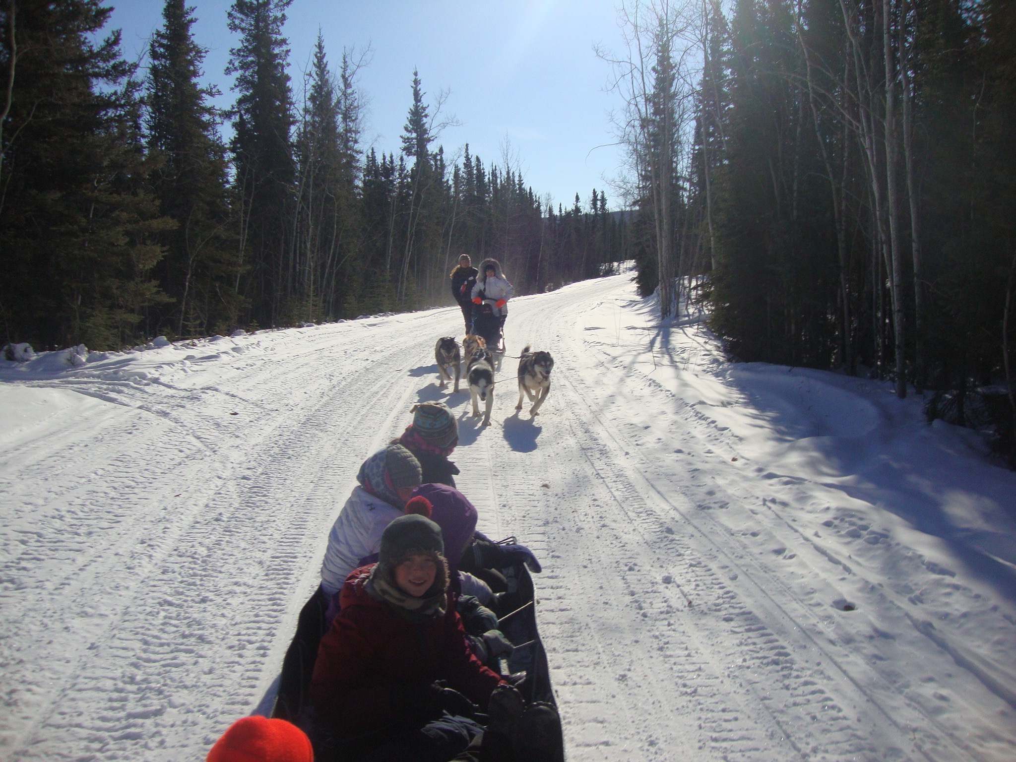 Eagle School students running Cranberry Kennel dogs.