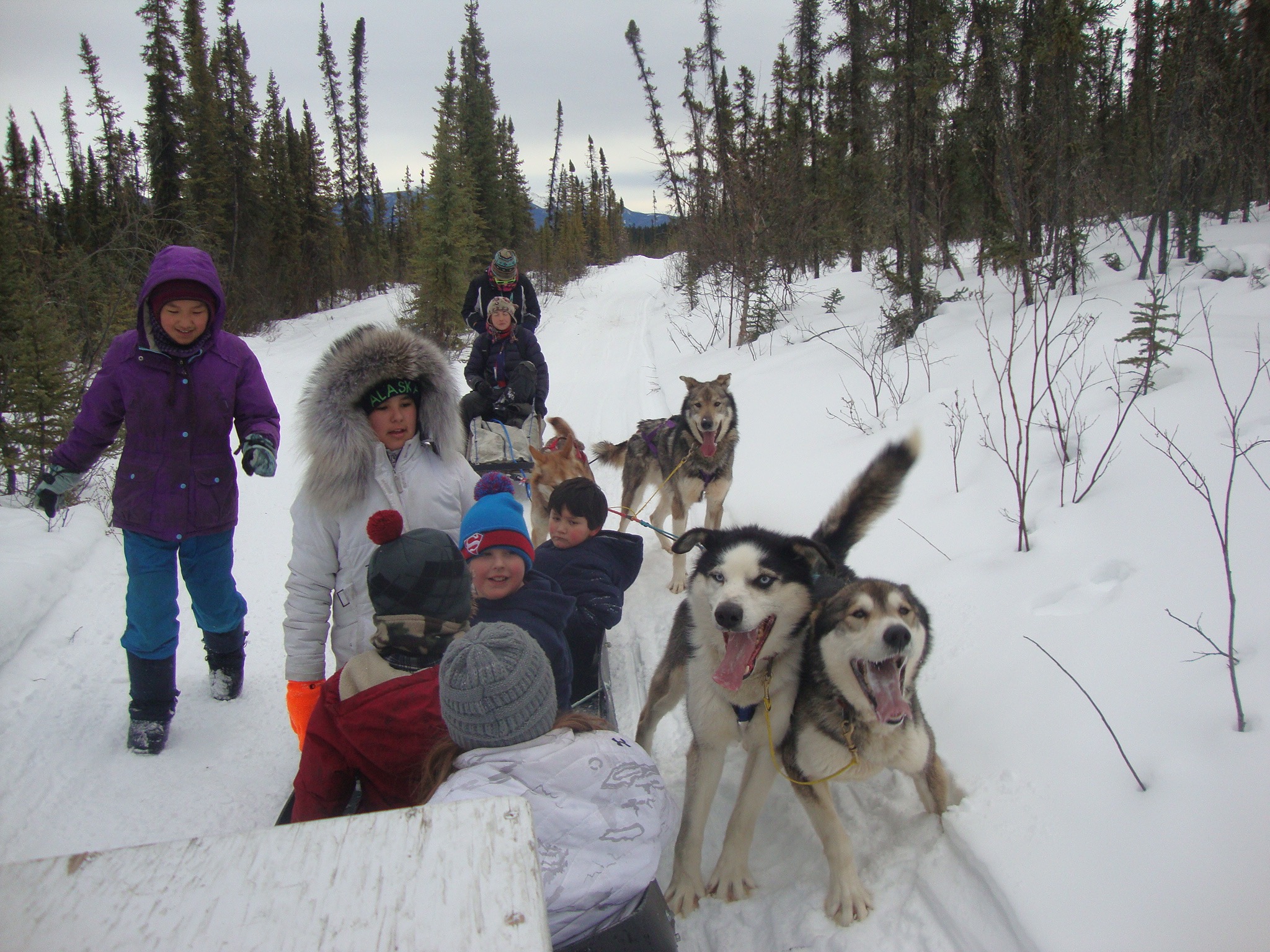 Eagle School students and Cranberry Kennel dogs take a rest during a run.