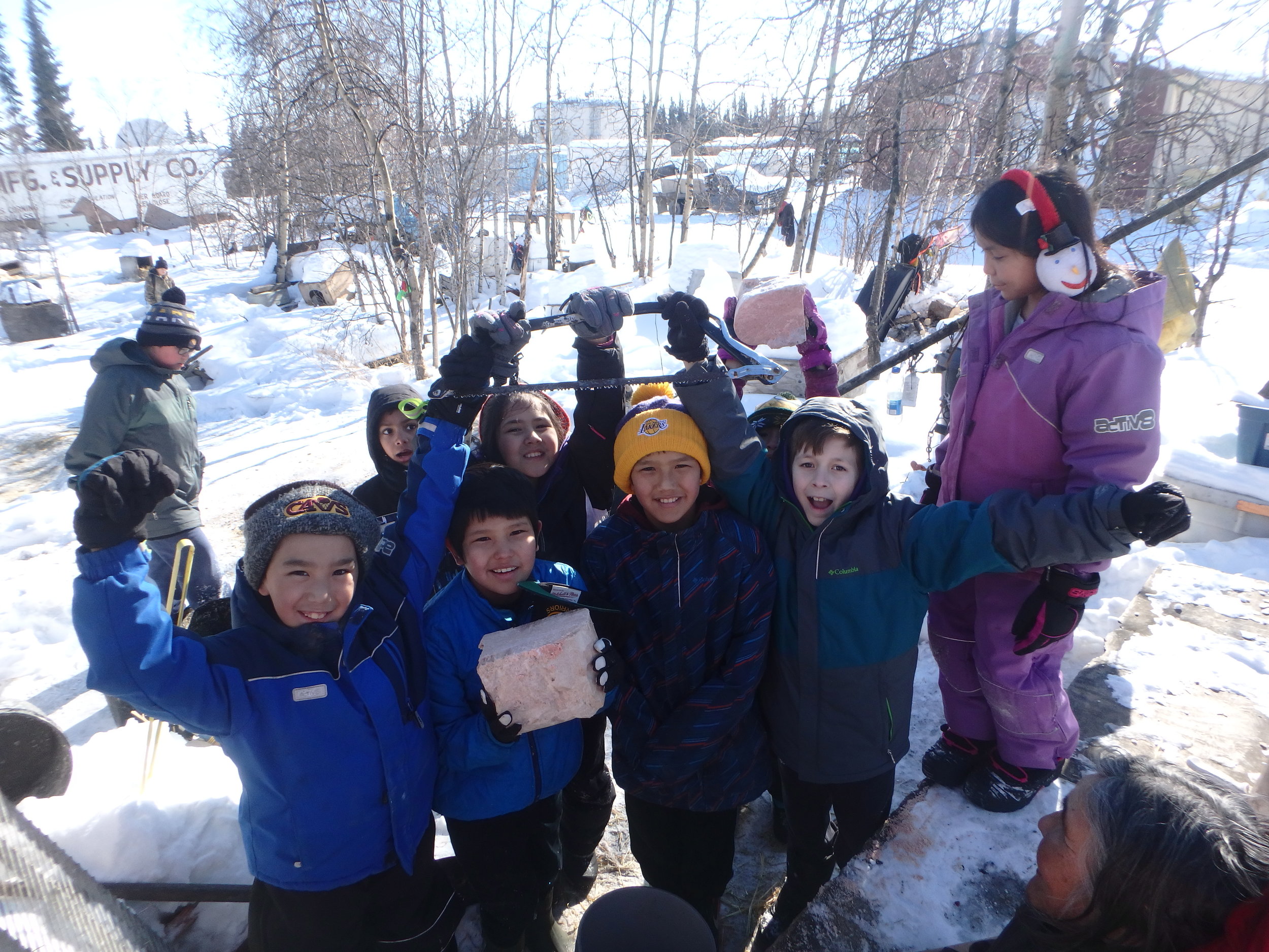 Minto School students at Lloyd Charlie's kennel cutting blocks of meat.