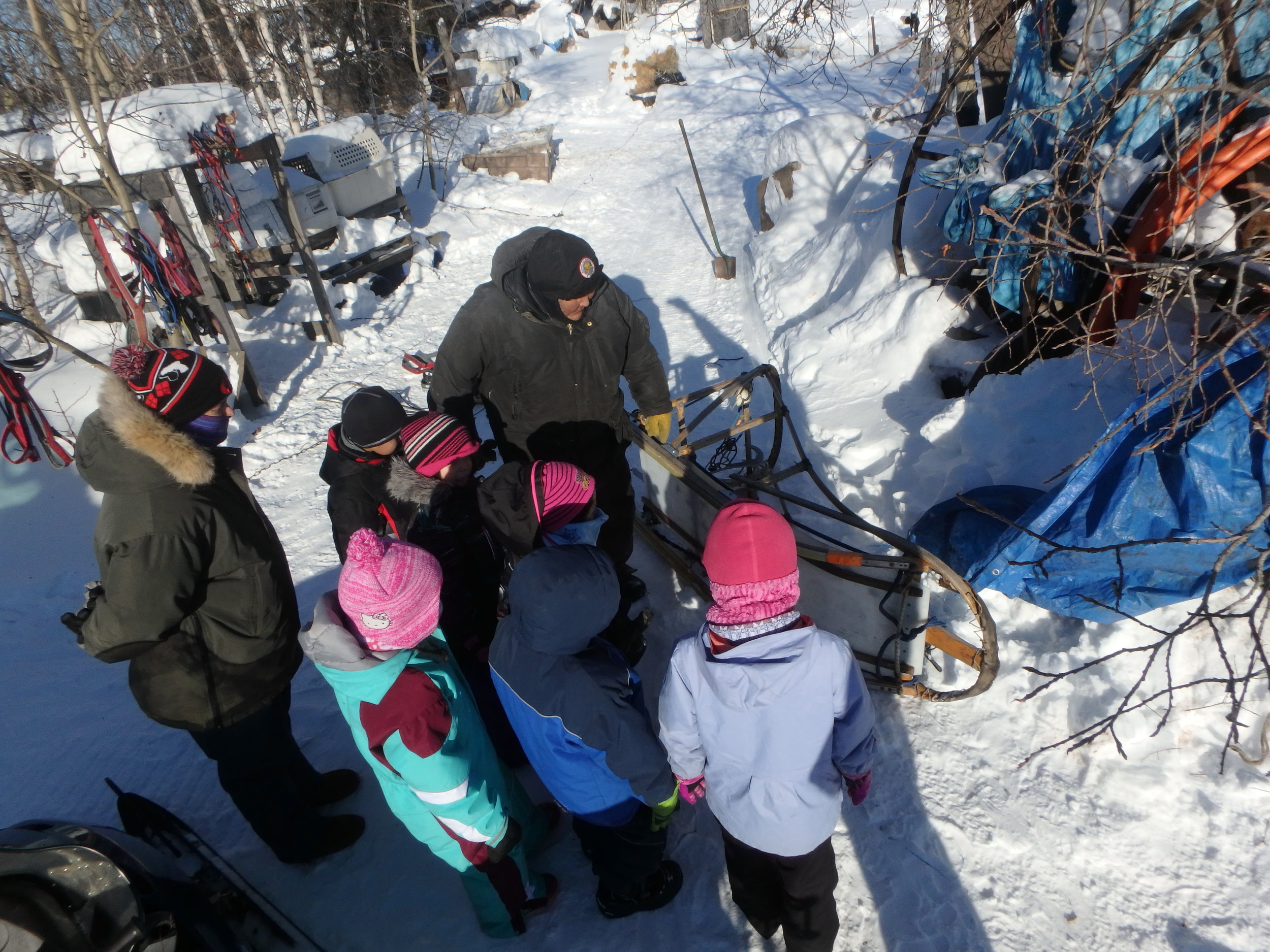 Musher Lloyd Charlie teaches Minto School students about the sled.