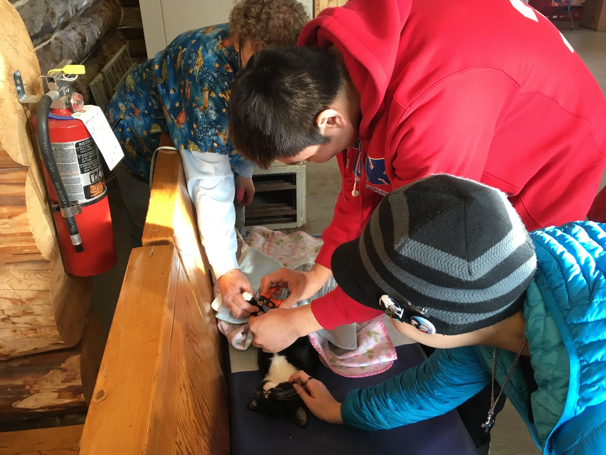 Tok High School students doing hands-on activities with Dr. Jeanne Olson.