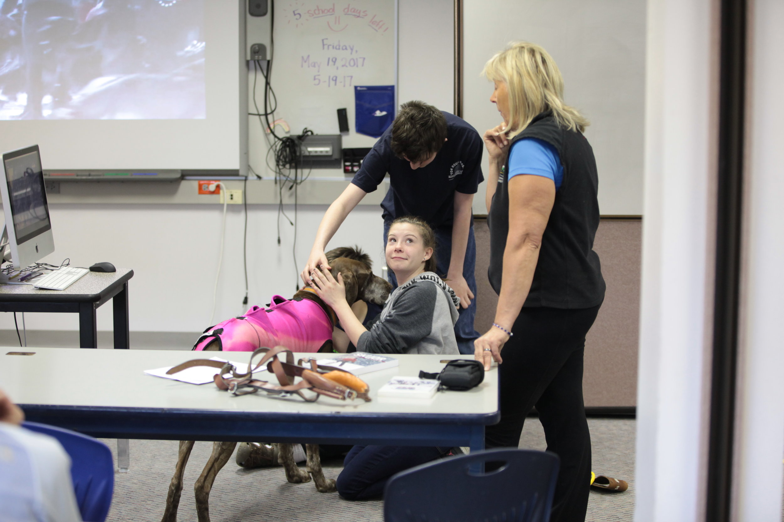 Guest speaker at Tok School teaching students about dog handling.