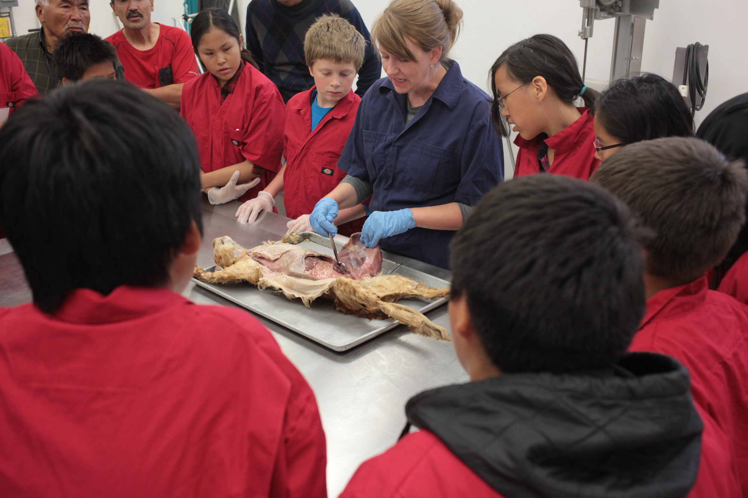 Students & Dog Musher Teachers listen to anatomy lecture.