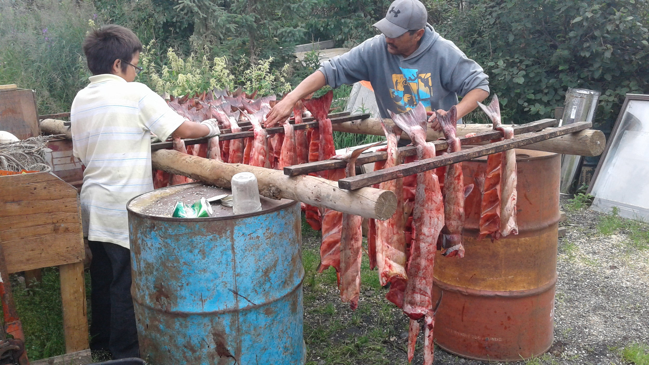 Learning to hang fish.