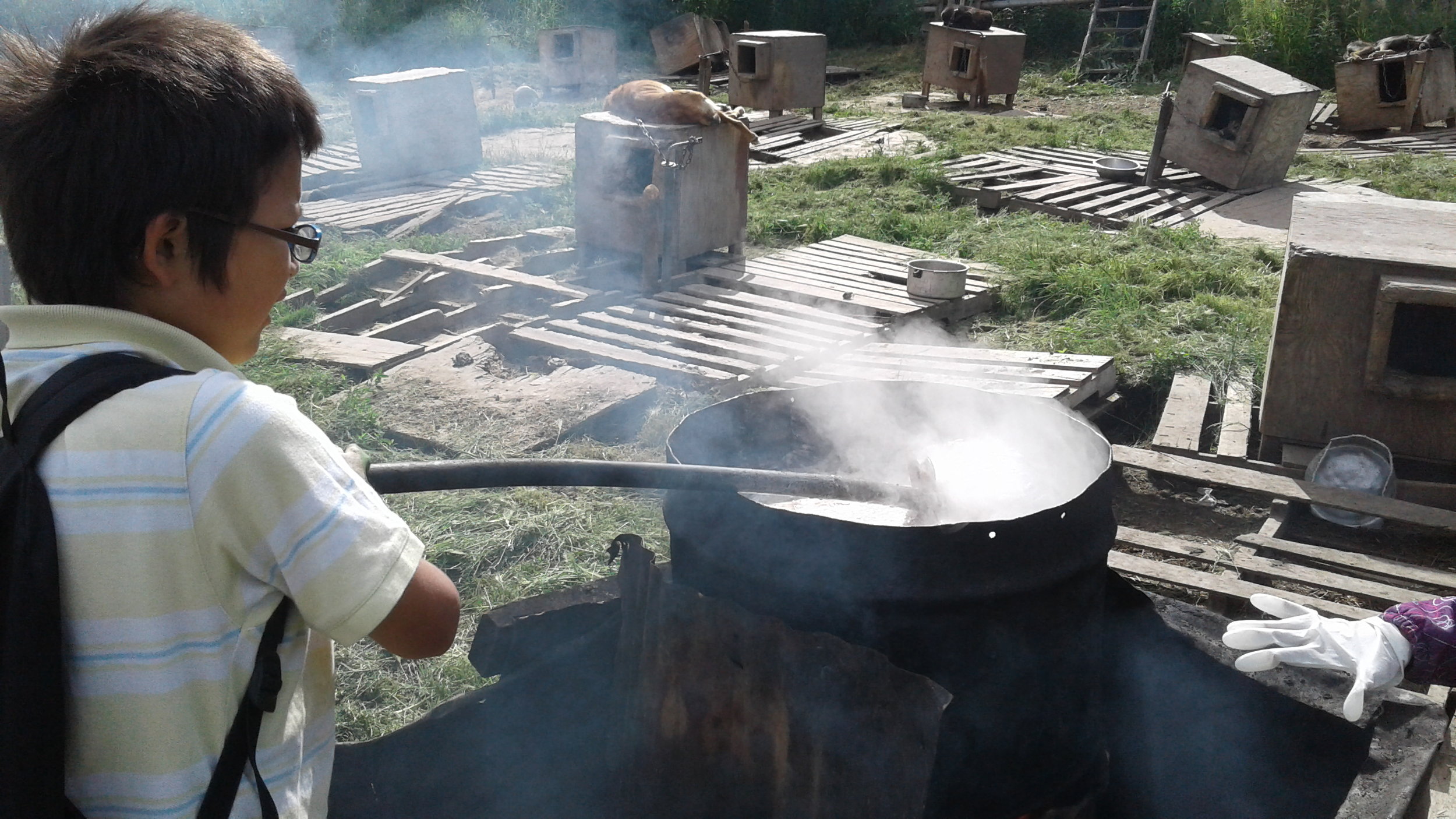 Smoking fish.