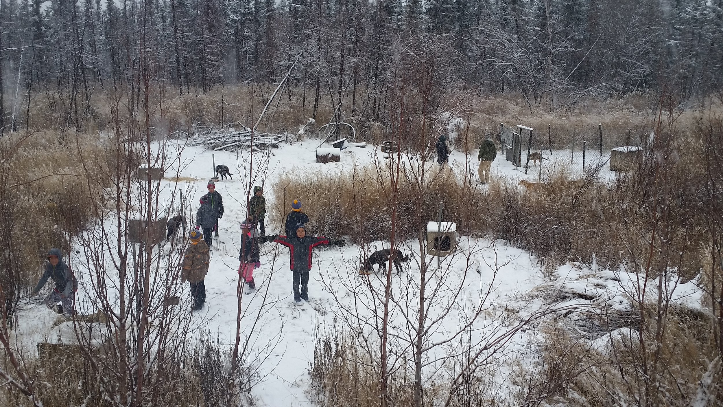 Students gather for hands-on class at new dog yard.