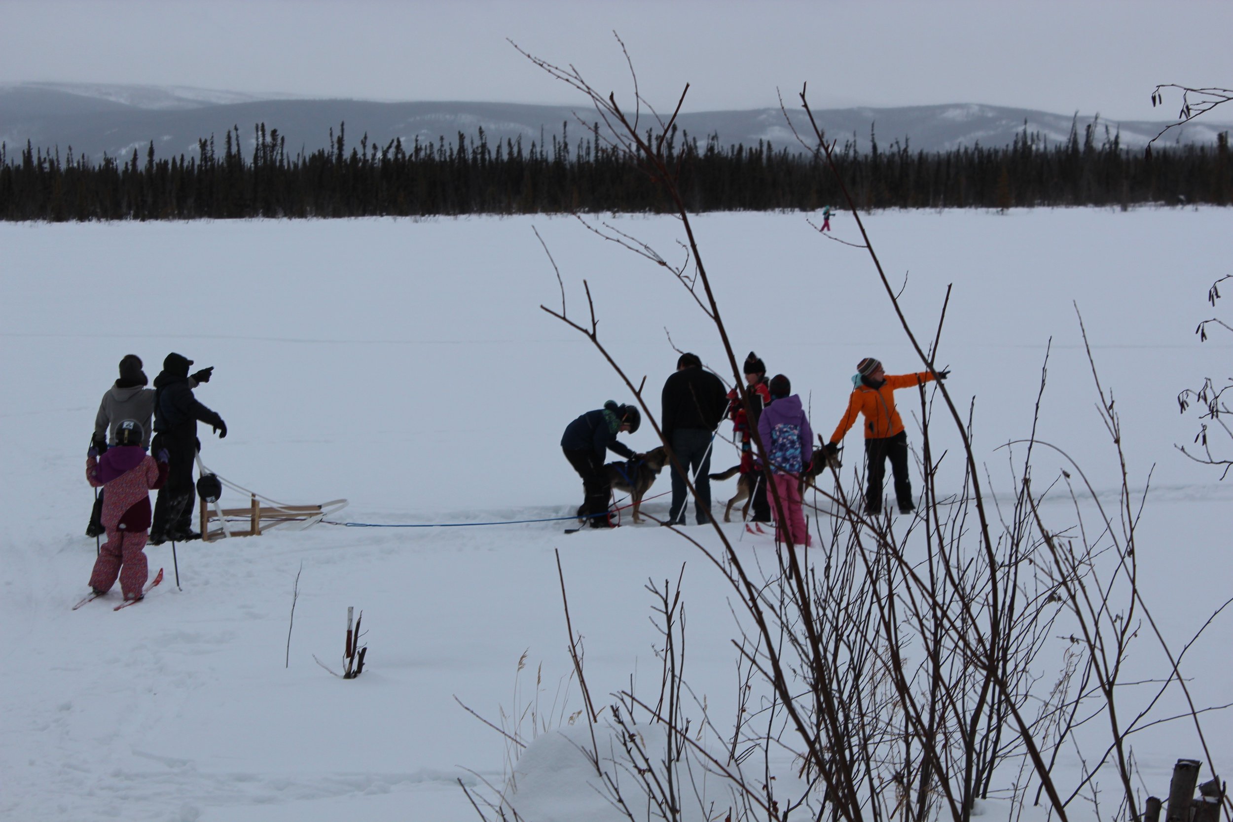 Group on lake with dogs.