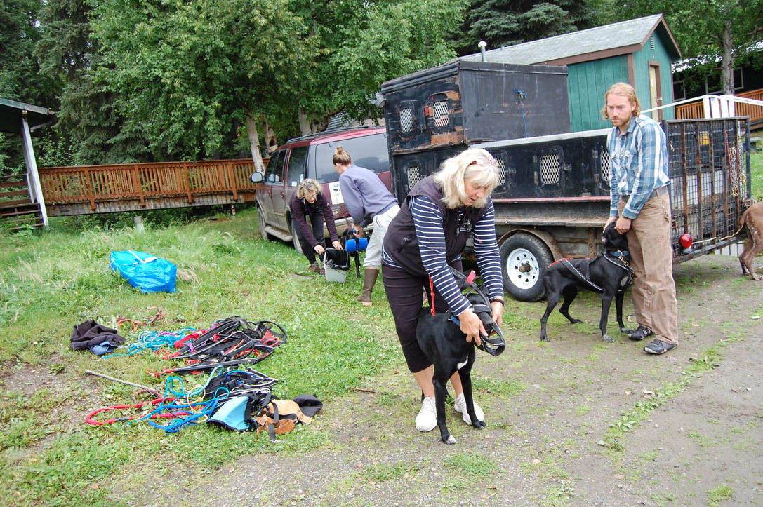 Skijoring in Summer