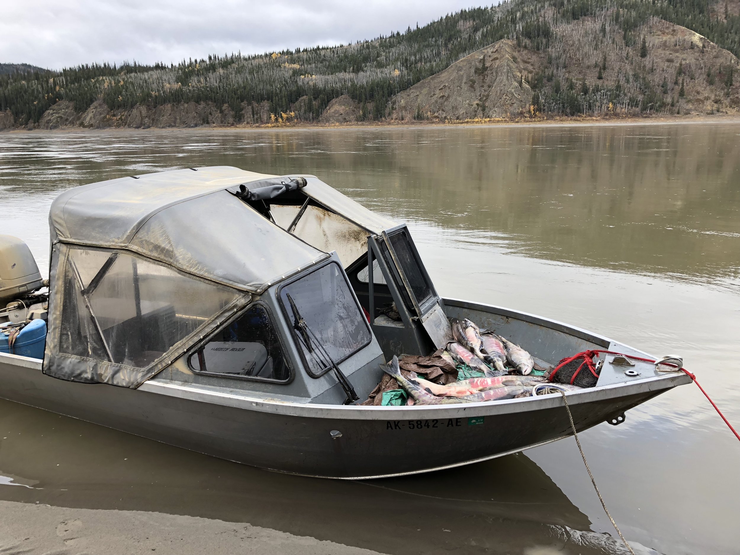 Scott_s Boat with fish.jpg