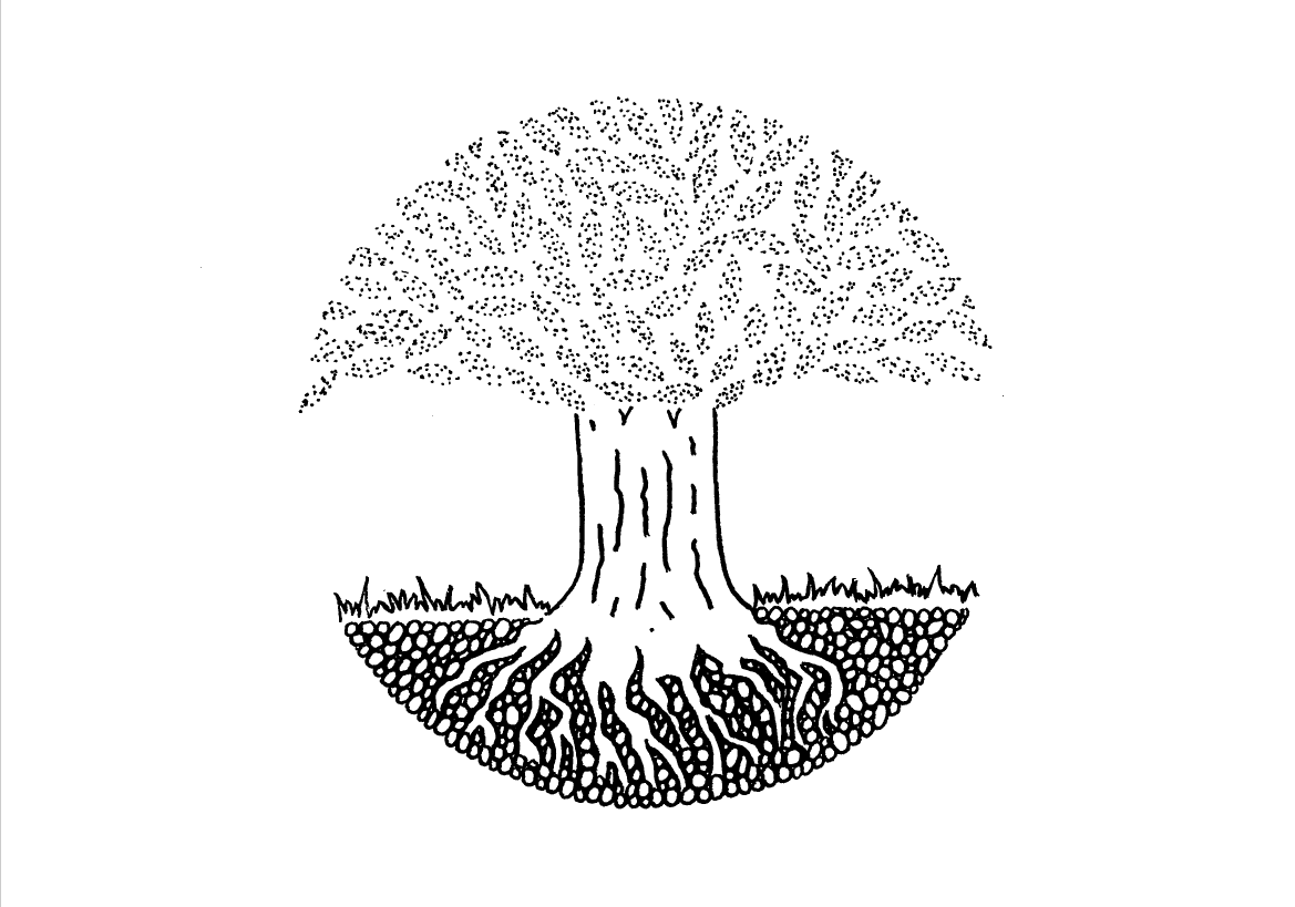 &nbsp; &nbsp; &nbsp; &nbsp; &nbsp; &nbsp; &nbsp; Starter