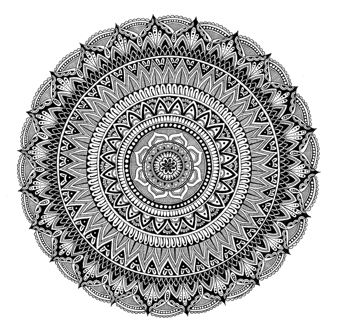 A3 - Koru Curves.png