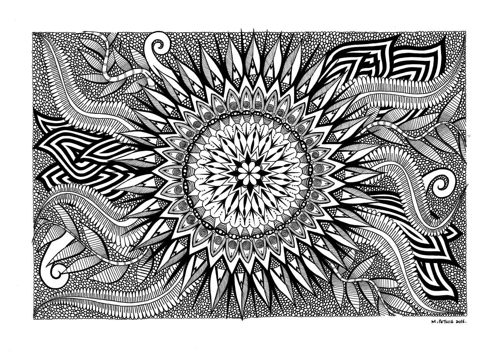 Screen Shot 2017-03-30 at 10.18.56 AM.png