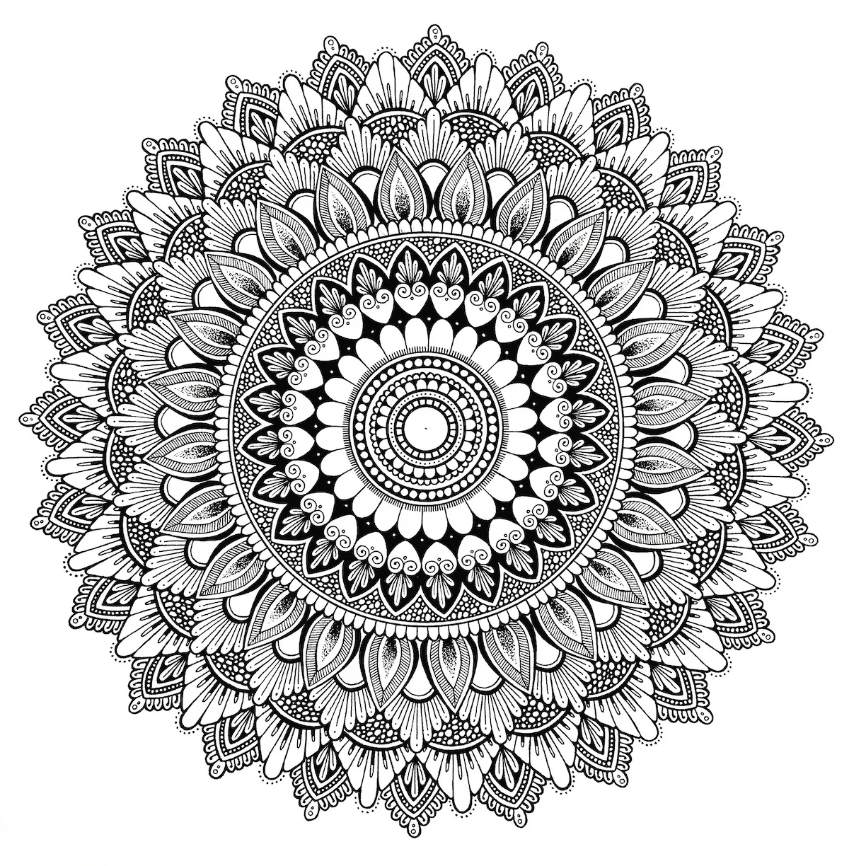 Macromicro - A3 - 7.JPG