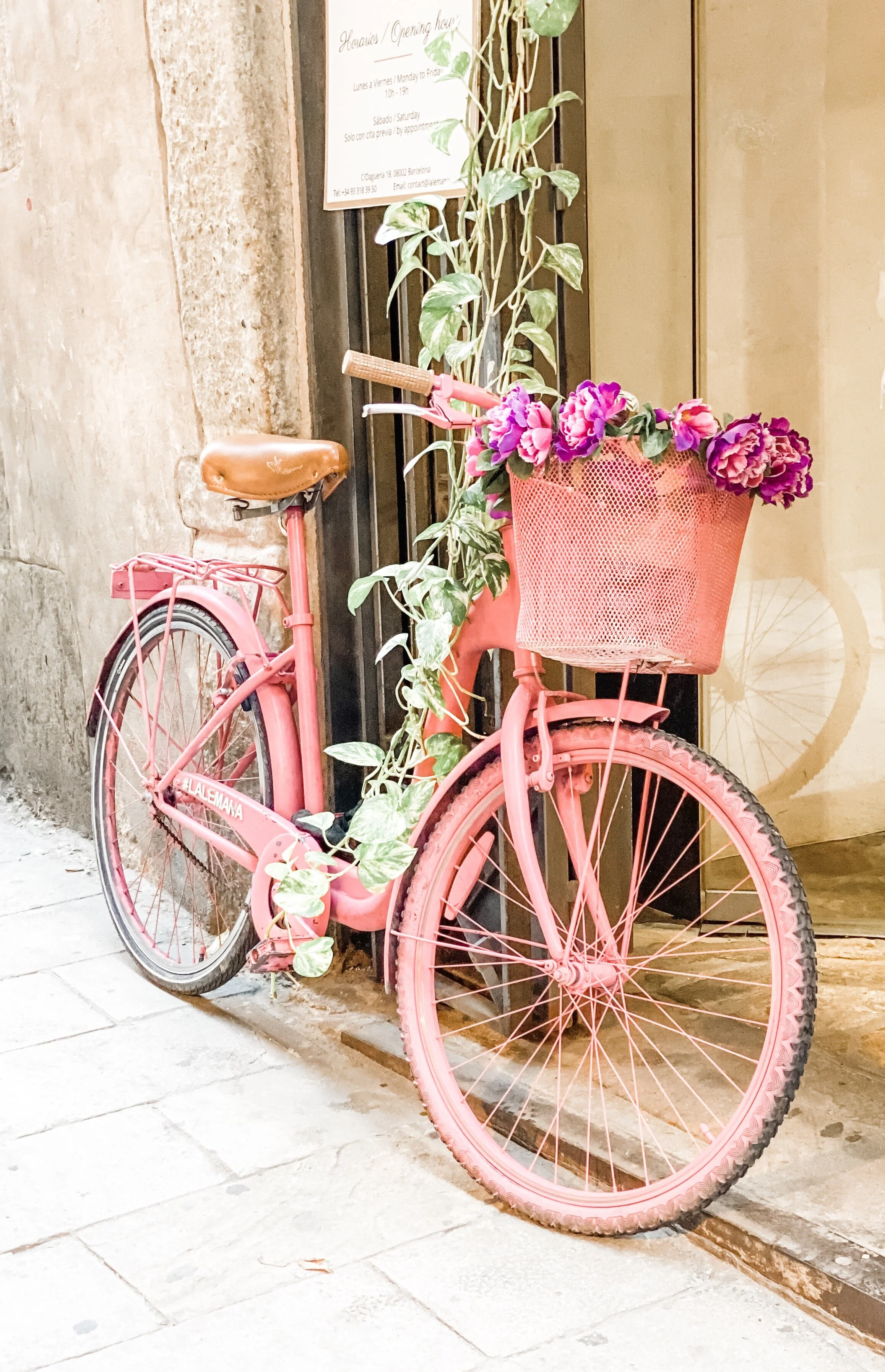 Everywhere I look…….inspiration and art!