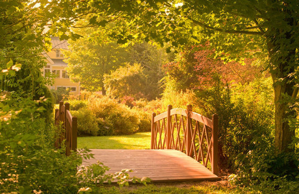 Footbridge in golden glow copy.jpg