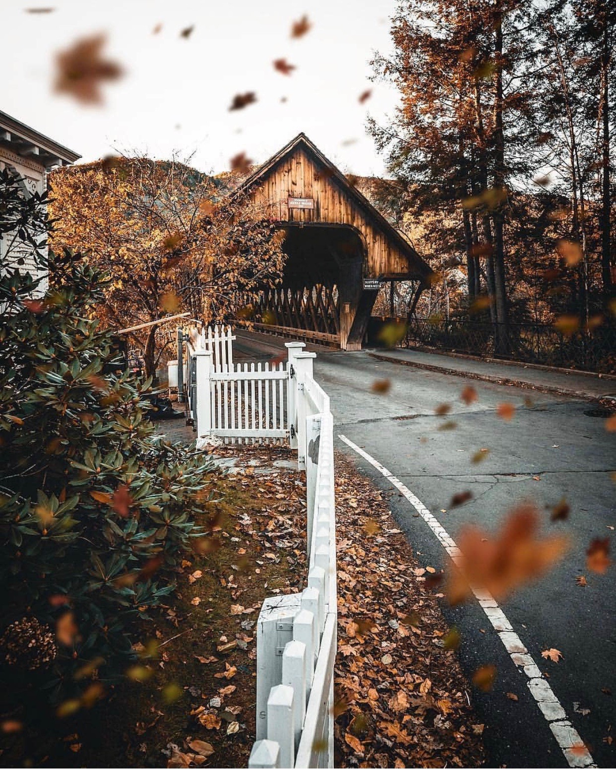 Covered bridge with leaves falling.jpg