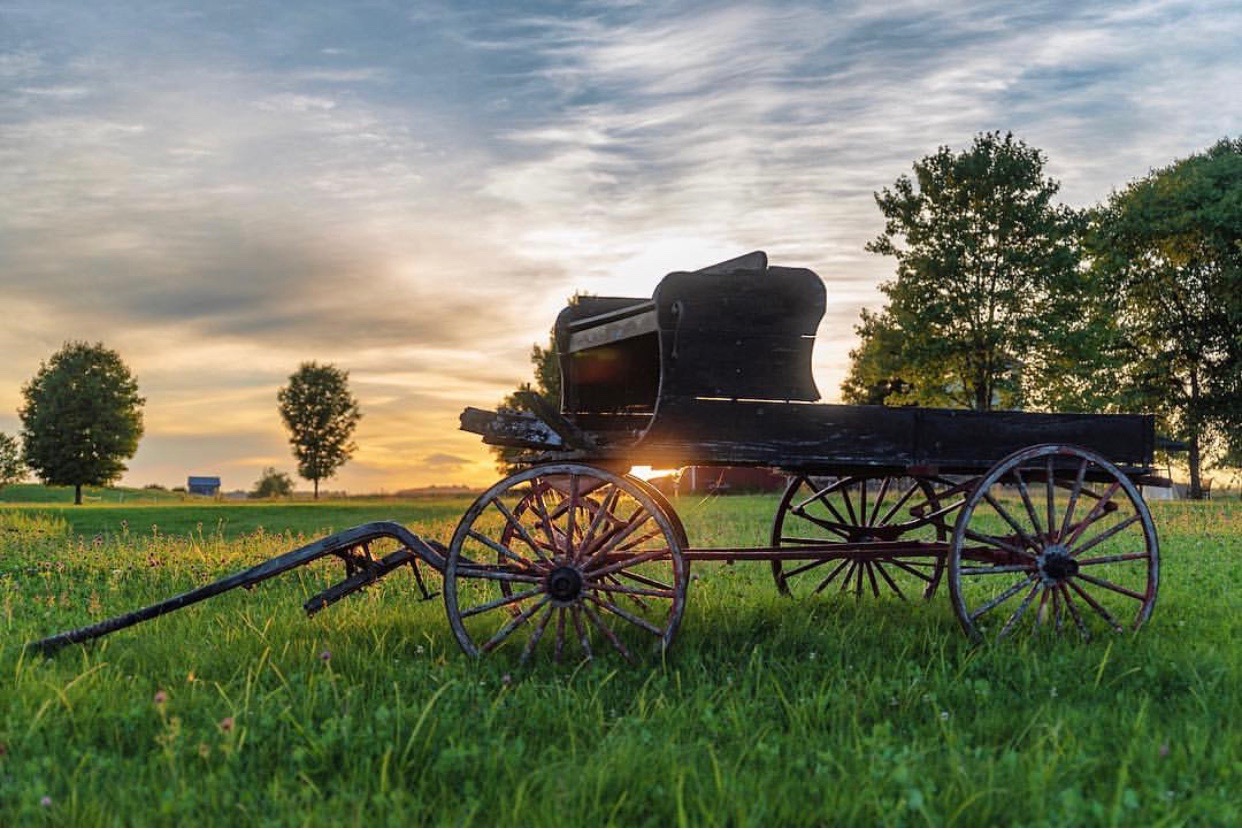 Old wagon on summer field.jpg