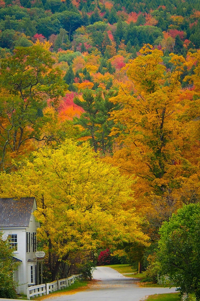 Vermont hillside in autumn.jpg